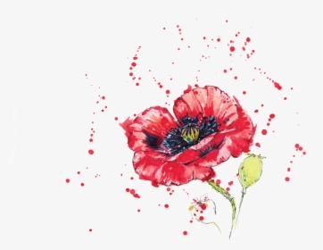 0 Replies 0 Retweets 0 Likes - Corn Poppy, HD Png Download, Transparent PNG