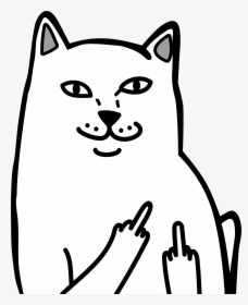 Transparent Yao Ming Png - Middle Finger Cat Meme, Png Download, Transparent PNG