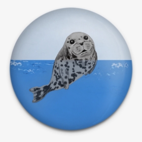 Happy Seals Magnet Set - Harbor Seal, HD Png Download, Transparent PNG