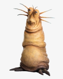 Shrimp, HD Png Download, Transparent PNG
