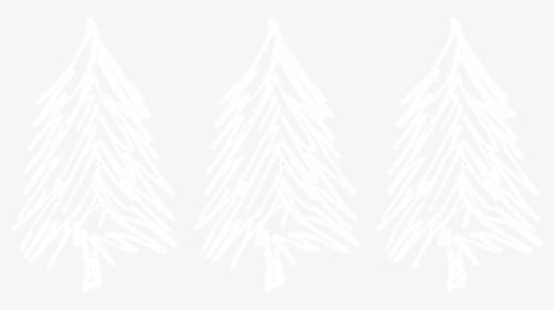 White Triple Tree - White Pine, HD Png Download, Transparent PNG