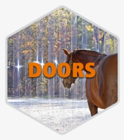 Home Doors Hexagon - Christmas Card, HD Png Download, Transparent PNG