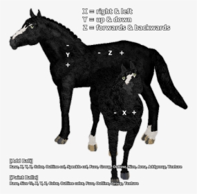 Stallion, HD Png Download, Transparent PNG