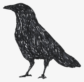 Collection Of Free Crow Drawing Unique Download On - Png Drawings Crow, Transparent Png, Transparent PNG