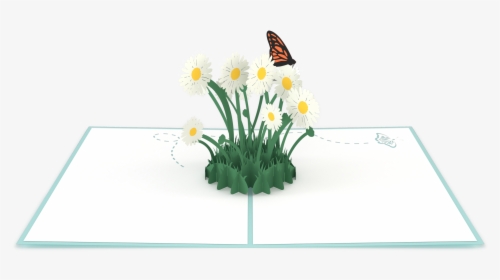 Transparent Flower Patch Png - Daisy, Png Download, Transparent PNG