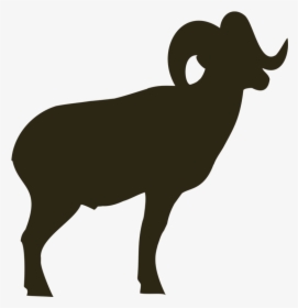 Pick Another Species To View Success Photos - Bighorn Sheep Silhouette Png, Transparent Png, Transparent PNG