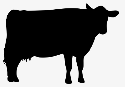 Cow Silhouette, HD Png Download, Transparent PNG