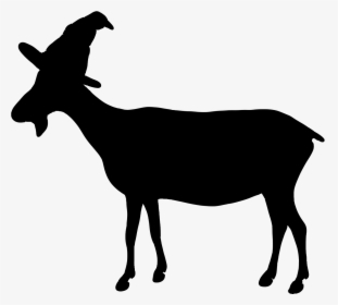 The Goat Wizard @ Communication, HD Png Download, Transparent PNG