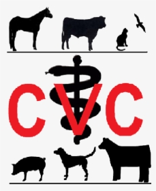 Chachere Veterinary Clinic - Cattle, HD Png Download, Transparent PNG