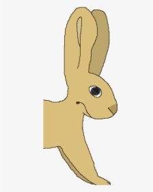 Domestic Rabbit, HD Png Download, Transparent PNG