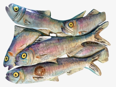 W Img 6571 2 Herring 3 - Lunge, HD Png Download, Transparent PNG