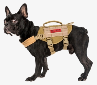 Onetigris Dog Harness, HD Png Download, Transparent PNG