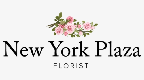 New York Plaza Florist - Garden Roses, HD Png Download, Transparent PNG