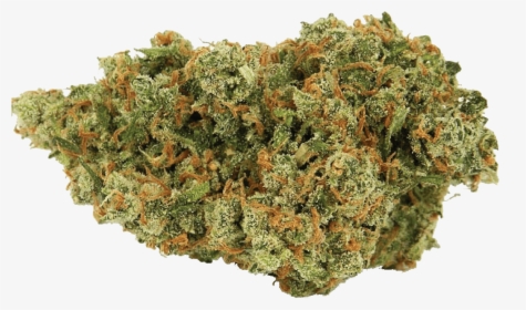 Jack Herer Cannabis Nug - Jack Herer Sativa, HD Png Download, Transparent PNG