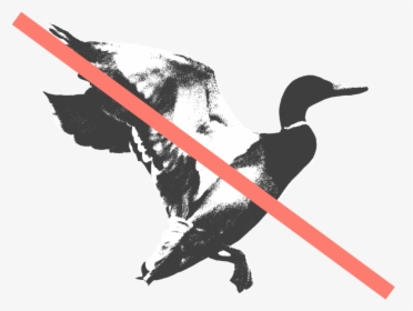 Mallard-strike, HD Png Download, Transparent PNG