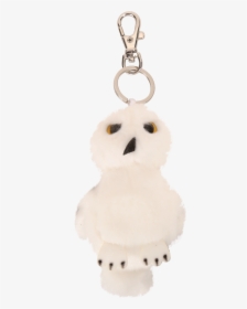 Hedwig, HD Png Download, Transparent PNG