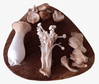 A Selection Of Sainsbury S Exotic Mushrooms Presented - Wood, HD Png Download, Transparent PNG