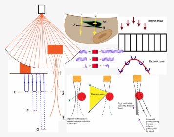 Physics Of Ultrasound - Ultrasound Physics Basics Diagram, HD Png Download, Transparent PNG