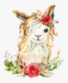 #watercolor #handpainted #octopusartis #llama #littlellama - Watercolor Llama, HD Png Download, Transparent PNG