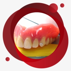 Denture Teeth Jewellery - Dentistry, HD Png Download, Transparent PNG