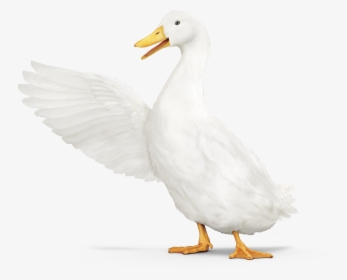 Aflac Duck Pointing Left - Aflac Duck Transparent, HD Png Download, Transparent PNG