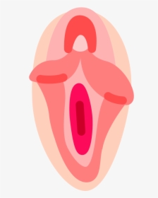 Emoji Di Vagina, HD Png Download, Transparent PNG