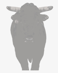 Chocolate Thunder - Bull, HD Png Download, Transparent PNG