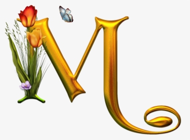 Hadi Name, HD Png Download, Transparent PNG
