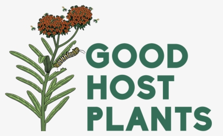 Good Host Plants - South 14th At Barrow, HD Png Download, Transparent PNG