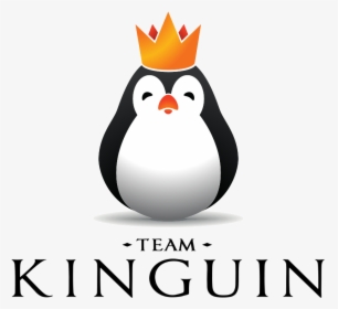 Team Kinguinlogo Square - Kinguin Csgo, HD Png Download, Transparent PNG