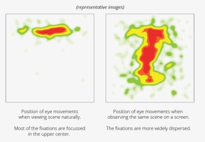 Vision Comparison Natural Lab - Illustration, HD Png Download, Transparent PNG