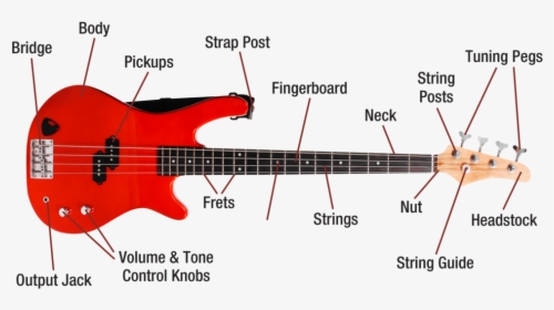 Bassguitar Diagram Image - Diagram Of A Bass Guitar, HD Png Download, Transparent PNG