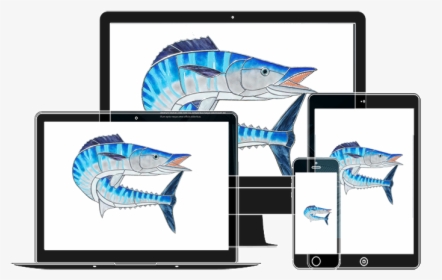 Class Img Responsive Animated Zoominup Animation Delay - Sailfish, HD Png Download, Transparent PNG