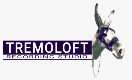 Tremoloft-logo - Burro, HD Png Download, Transparent PNG