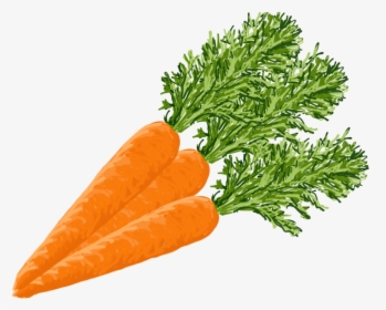 Carrots - Baby Carrot, HD Png Download, Transparent PNG