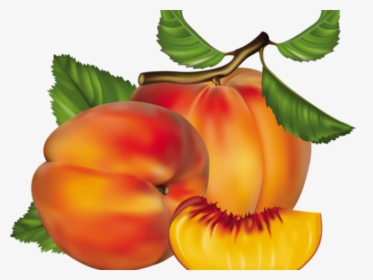 Peach Clipart Chico - Peach Fruit, HD Png Download, Transparent PNG