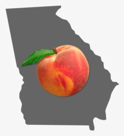 #georgia #atlanta #peach #state #state #american #savanah - Nectarine, HD Png Download, Transparent PNG