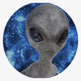 Visual Arts, HD Png Download, Transparent PNG
