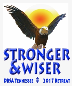 Stronger & Wiser - Broodje Hamburger Speciaal, HD Png Download, Transparent PNG