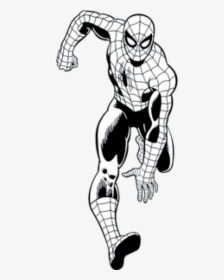 Spiderman Vector Black And White, HD Png Download, Transparent PNG