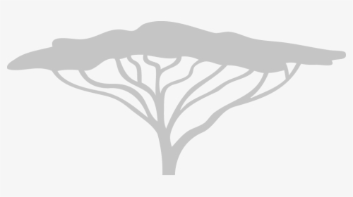 White Acacia Tree Logo, HD Png Download, Transparent PNG