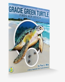 Gracie Cover 3d - Green Sea Turtle, HD Png Download, Transparent PNG