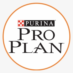 Pro Plan, HD Png Download, Transparent PNG