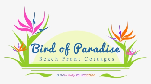 Bird Of Paradise Beach Front Cottages - Birds Of Paradise Logo, HD Png Download, Transparent PNG