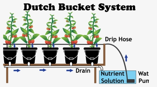 Grow Dutch Bucket System, HD Png Download, Transparent PNG