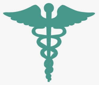Red Cross With Snake, HD Png Download, Transparent PNG