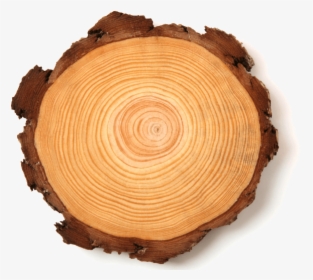 Tree Rings - Tree Rings Transparent Background, HD Png Download, Transparent PNG