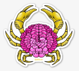 Brain Crab Sticker, HD Png Download, Transparent PNG