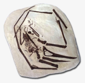 Artifact, HD Png Download, Transparent PNG