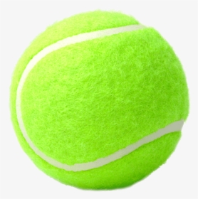 Weiner - Tennis Ball, HD Png Download, Transparent PNG